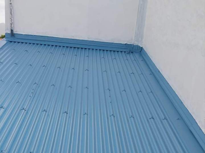 Rénovation de la peinture de toiture